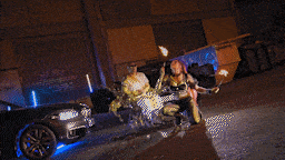 ALKPOTE &lsquo;PHARAON&rsquo;